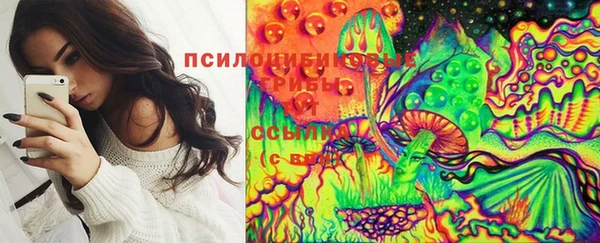 PSILOCYBIN Балабаново